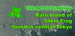 The Art of Running: 54km Tokyo Frog